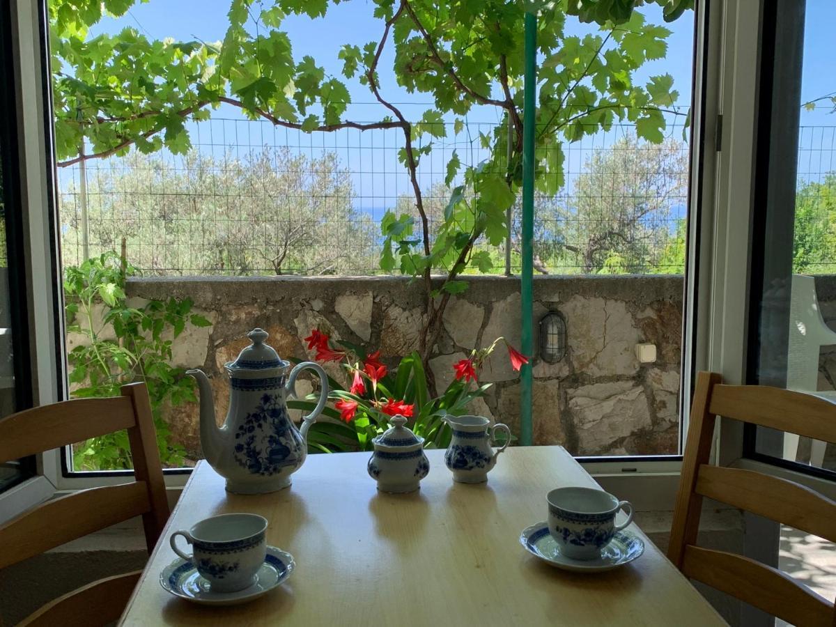 Apartments Mirian Petrovac Kültér fotó